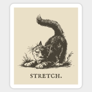 Cute Cat Morning Stretch Illustration Sticker